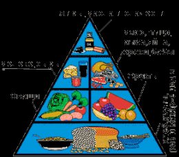 Пирамида Здоровья